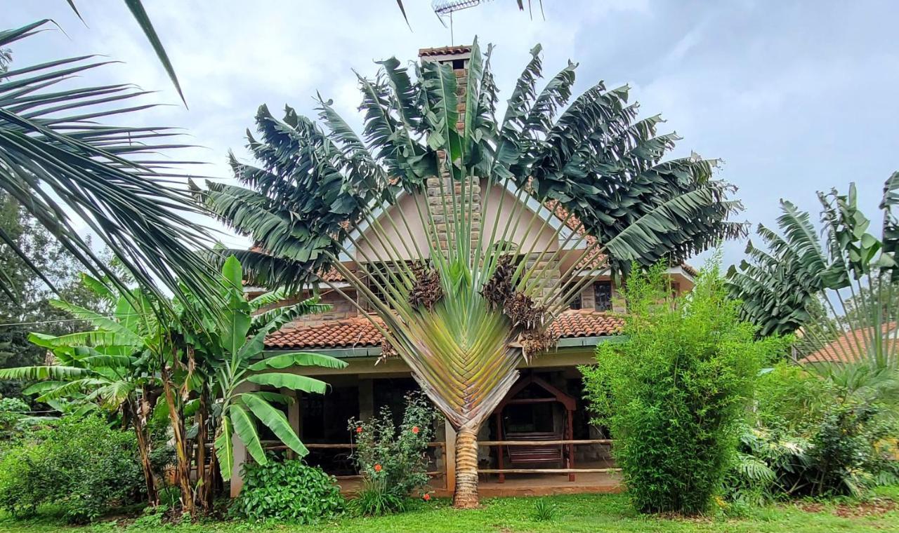 Edaala Comfort - B&B Nairobi Esterno foto