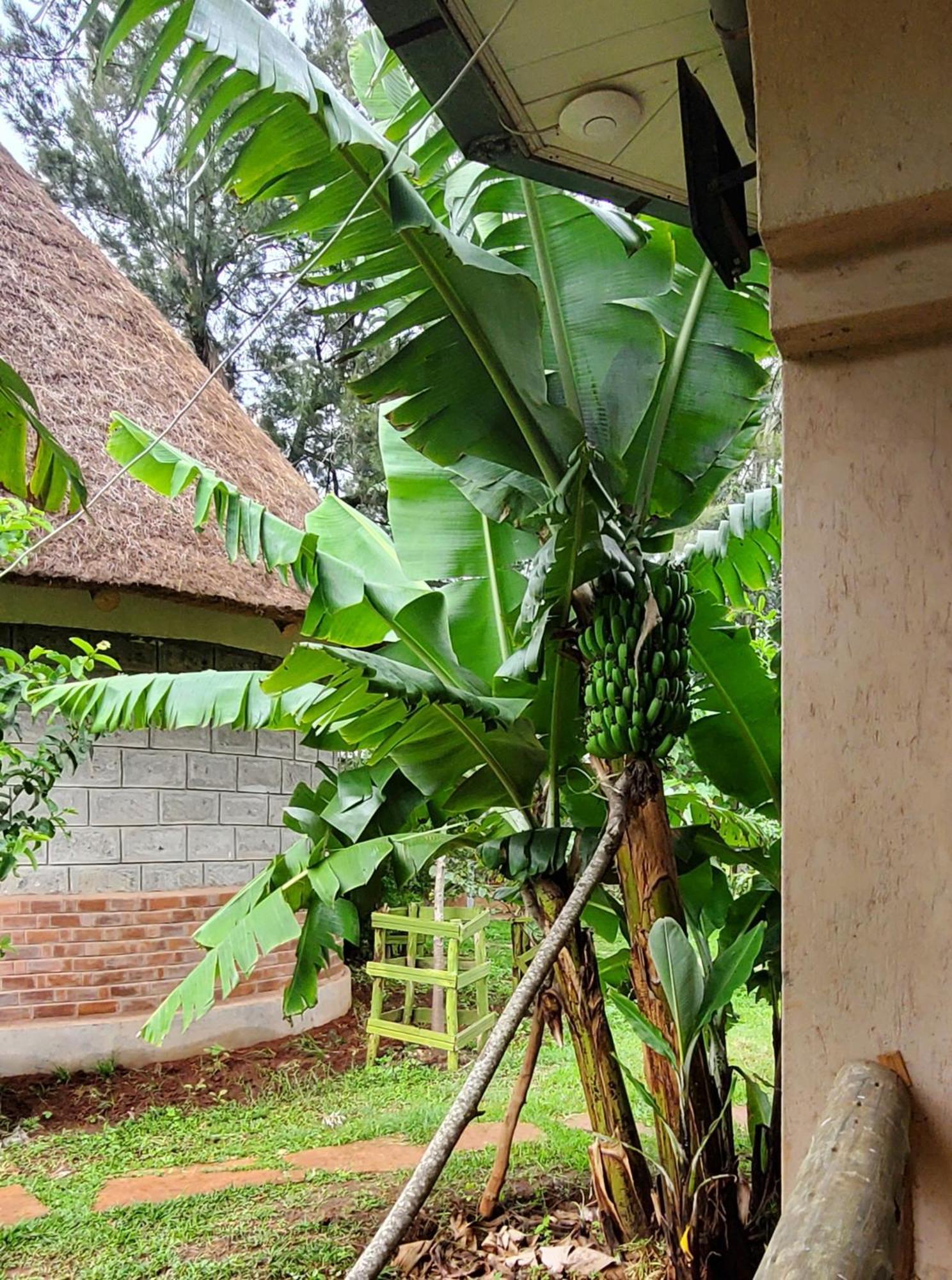Edaala Comfort - B&B Nairobi Esterno foto