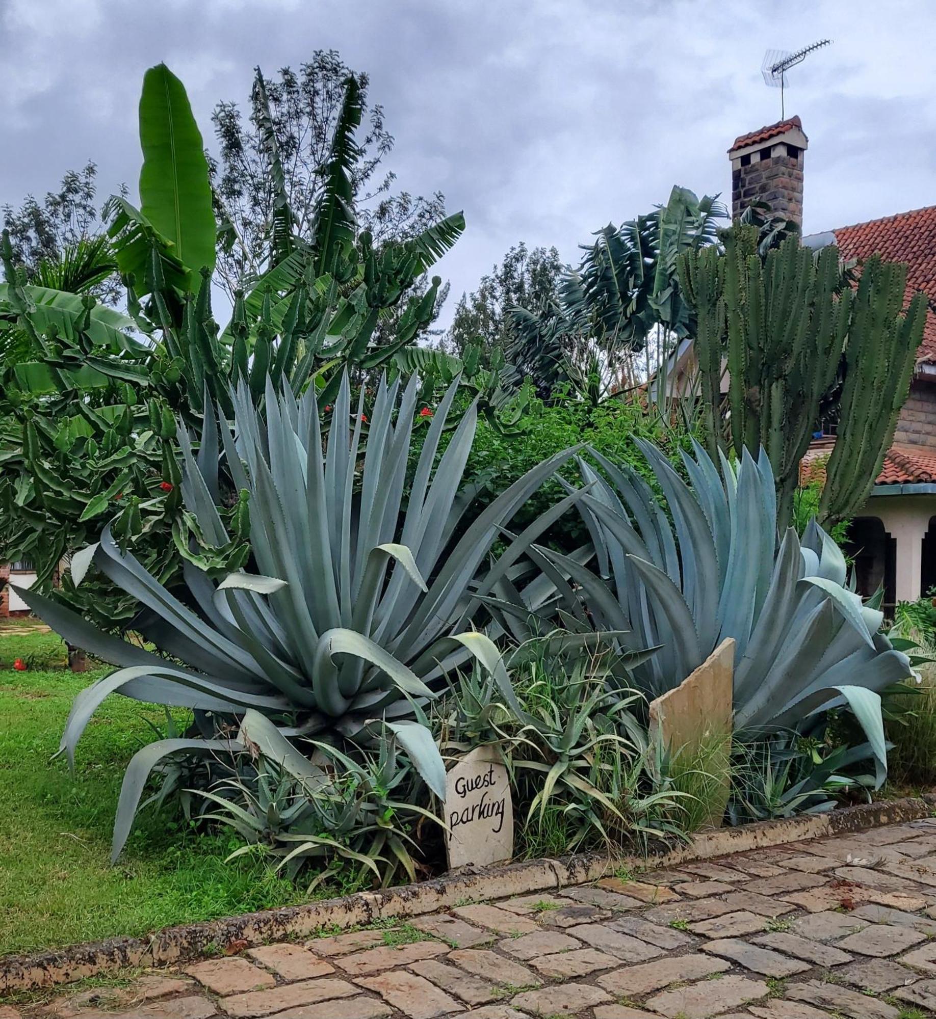 Edaala Comfort - B&B Nairobi Esterno foto