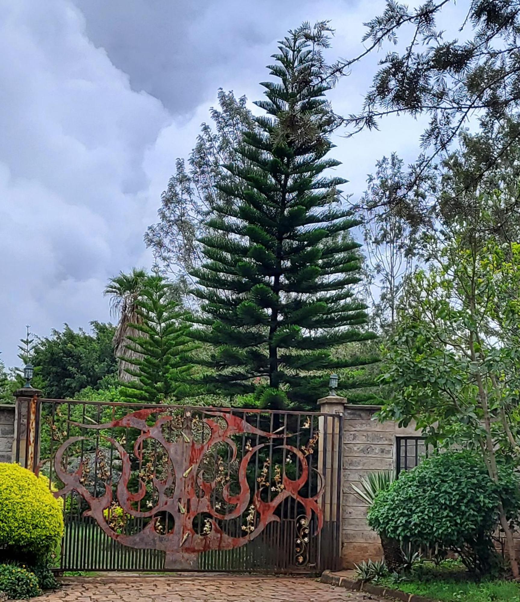 Edaala Comfort - B&B Nairobi Esterno foto
