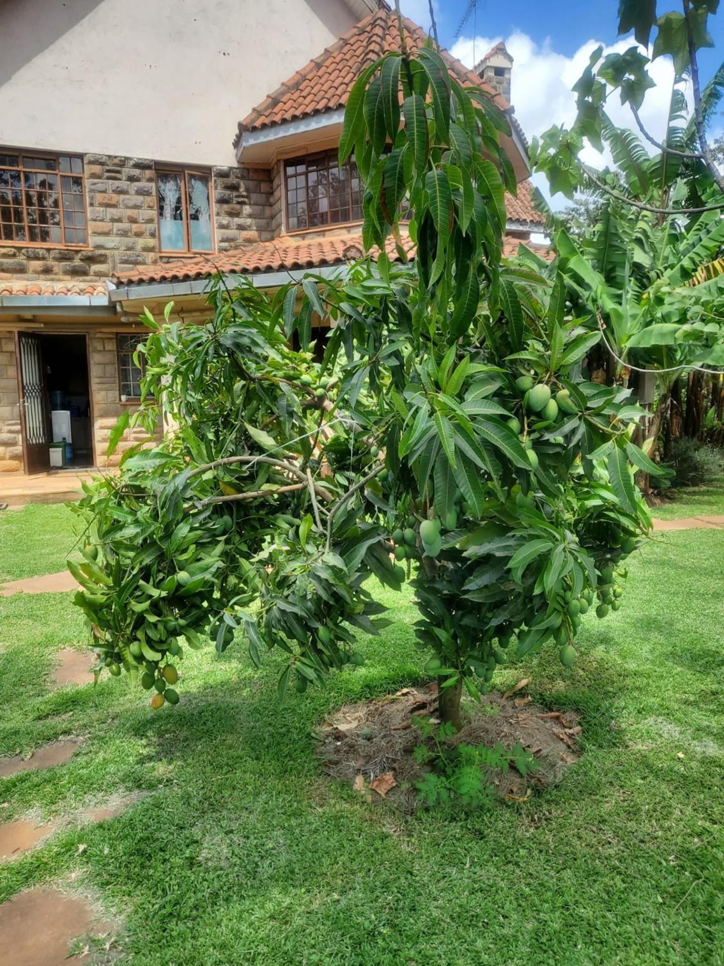 Edaala Comfort - B&B Nairobi Esterno foto