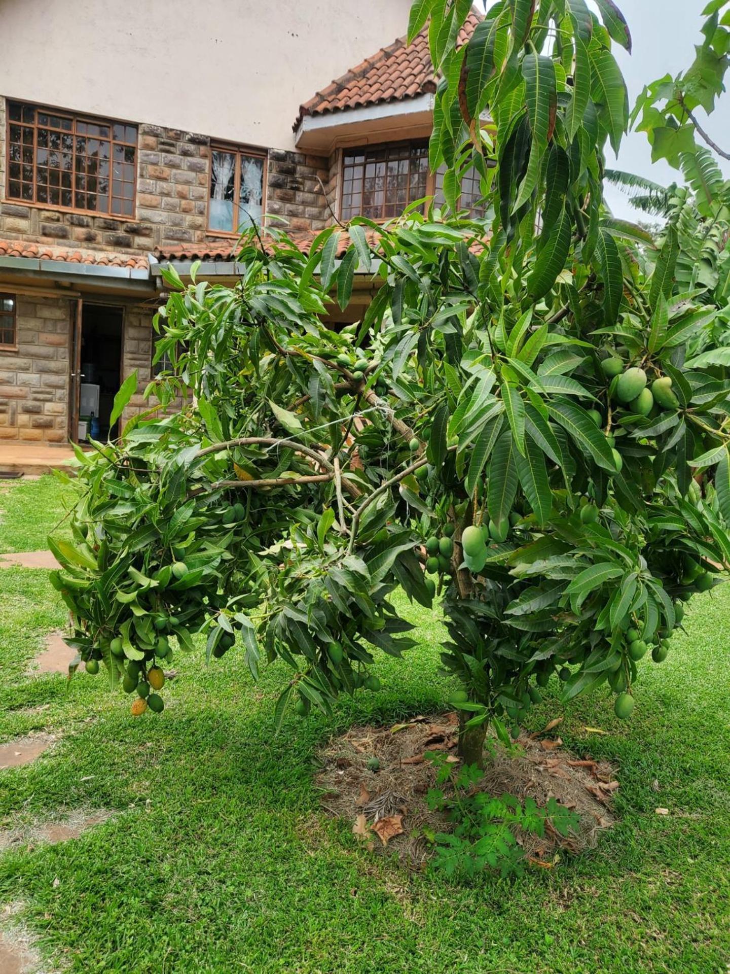 Edaala Comfort - B&B Nairobi Esterno foto