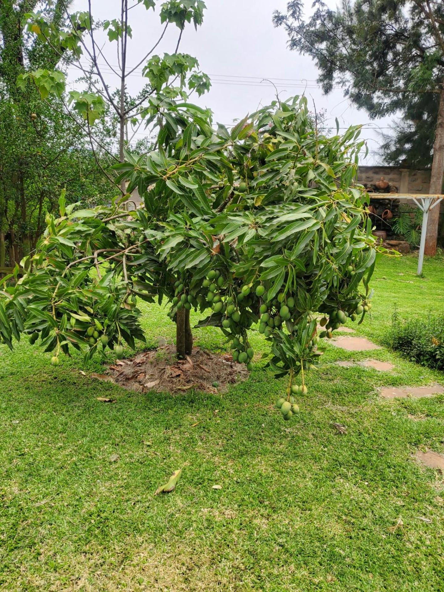 Edaala Comfort - B&B Nairobi Esterno foto